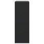 vidaXL Schuhschrank Schwarz 60x34x96,5 cm Holzwerkstoff vidaXL Schuhschrank Schwarz 60x34x96,5 cm Holzwerkstoff