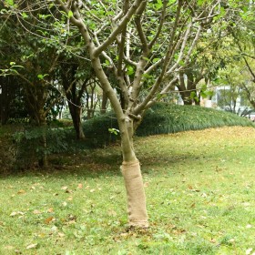 vidaXL Jutegewebe 0,5x15 m 100% Jute 200 g/m²