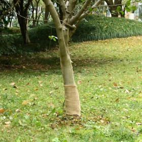 vidaXL Jutegewebe 0,25x5 m 100% Jute 200 g/m²