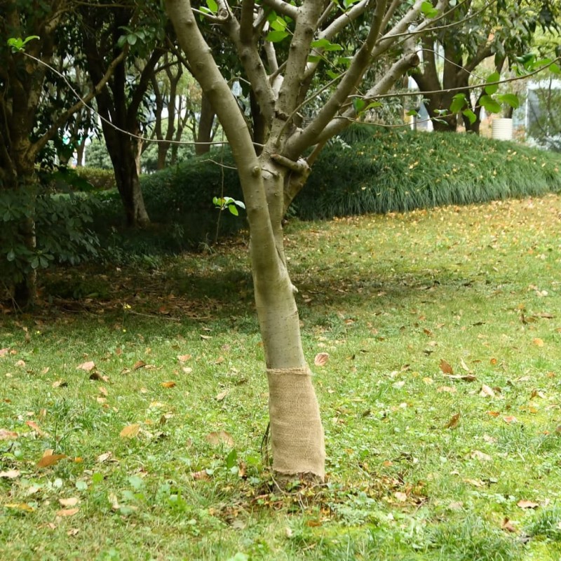 vidaXL Jutegewebe 0,25x100 m 100% Jute 200 g/m² vidaXL Jutegewebe 0,25x100 m 100% Jute 200 g/m²