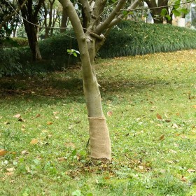vidaXL Jutegewebe 0,25x50 m 100% Jute 200 g/m²