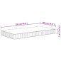 vidaXL Matratze Taschenfederkern Mittel 100x220 cm vidaXL Matratze Taschenfederkern Mittel 100x220 cm