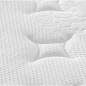 vidaXL Matratze Taschenfederkern Medium Plus 70x200 cm vidaXL Matratze Taschenfederkern Medium Plus 70x200 cm