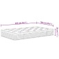 vidaXL Matratze Taschenfederkern Medium Plus 100x200 cm vidaXL Matratze Taschenfederkern Medium Plus 100x200 cm