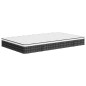 vidaXL Matratze Bonnell-Federkern Mittel 100x200 cm vidaXL Matratze Bonnell-Federkern Mittel 100x200 cm