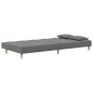 vidaXL Schlafsofa 2-Sitzer mit 2 Kissen Dunkelgrau Stoff vidaXL Schlafsofa 2-Sitzer mit 2 Kissen Dunkelgrau Stoff