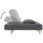 vidaXL Schlafsofa 2-Sitzer mit 2 Kissen Hellgrau Stoff vidaXL Schlafsofa 2-Sitzer mit 2 Kissen Hellgrau Stoff