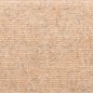 vidaXL Treppenmatten 5 Stk. Braun 65x21x4 cm Nadelvlies vidaXL Treppenmatten 5 Stk. Braun 65x21x4 cm Nadelvlies