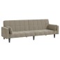 vidaXL Schlafsofa 2-Sitzer mit 2 Kissen Hellgrau Samt vidaXL Schlafsofa 2-Sitzer mit 2 Kissen Hellgrau Samt