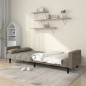vidaXL Schlafsofa 2-Sitzer mit 2 Kissen Hellgrau Samt vidaXL Schlafsofa 2-Sitzer mit 2 Kissen Hellgrau Samt