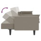 vidaXL Schlafsofa 2-Sitzer mit 2 Kissen Hellgrau Samt vidaXL Schlafsofa 2-Sitzer mit 2 Kissen Hellgrau Samt