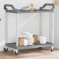 vidaXL Rollwagen mit 2 Etagen Grau 99x50x97 cm Aluminium vidaXL Rollwagen mit 2 Etagen Grau 99x50x97 cm Aluminium
