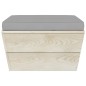 Garten-Paletten-Hocker mit Kissen Imprägniertes Fichtenholz Garten-Paletten-Hocker mit Kissen Imprägniertes Fichtenholz