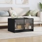 vidaXL Couchtisch mit Glastüren Schwarz 68x50x42 cm vidaXL Couchtisch mit Glastüren Schwarz 68x50x42 cm