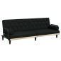vidaXL Schlafsofa mit Armlehnen Schwarz Stoff vidaXL Schlafsofa mit Armlehnen Schwarz Stoff