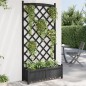 vidaXL Pflanzkübel mit Spalier Schwarz Massivholz Tanne vidaXL Pflanzkübel mit Spalier Schwarz Massivholz Tanne