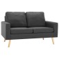vidaXL 2-Sitzer-Sofa Dunkelgrau Stoff vidaXL 2-Sitzer-Sofa Dunkelgrau Stoff