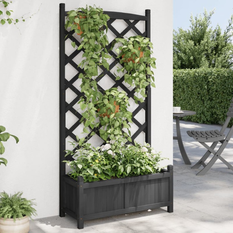 vidaXL Pflanzkübel mit Spalier Schwarz Massivholz Tanne vidaXL Pflanzkübel mit Spalier Schwarz Massivholz Tanne