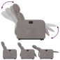 vidaXL Relaxsessel mit Aufstehhilfe Taupe Stoff vidaXL Relaxsessel mit Aufstehhilfe Taupe Stoff