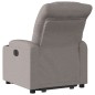 vidaXL Relaxsessel mit Aufstehhilfe Elektrisch Taupe Stoff vidaXL Relaxsessel mit Aufstehhilfe Elektrisch Taupe Stoff