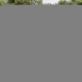 vidaXL 14-tlg. Garten-Sofagarnitur mit Kissen Schwarz Poly Rattan
