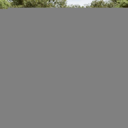 vidaXL 14-tlg. Garten-Sofagarnitur mit Kissen Schwarz Poly Rattan