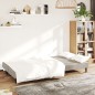 vidaXL Schlafsofa 2-Sitzer Hellgrau Samt vidaXL Schlafsofa 2-Sitzer Hellgrau Samt