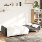 vidaXL Schlafsofa 2-Sitzer Dunkelgrau Samt vidaXL Schlafsofa 2-Sitzer Dunkelgrau Samt