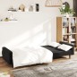 vidaXL Schlafsofa 2-Sitzer Schwarz Samt vidaXL Schlafsofa 2-Sitzer Schwarz Samt