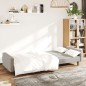 vidaXL Schlafsofa 2-Sitzer Hellgrau Samt vidaXL Schlafsofa 2-Sitzer Hellgrau Samt