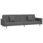 vidaXL Schlafsofa 2-Sitzer mit 2 Kissen Dunkelgrau Stoff vidaXL Schlafsofa 2-Sitzer mit 2 Kissen Dunkelgrau Stoff