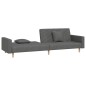 vidaXL Schlafsofa 2-Sitzer mit 2 Kissen Dunkelgrau Stoff vidaXL Schlafsofa 2-Sitzer mit 2 Kissen Dunkelgrau Stoff