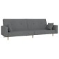 vidaXL Schlafsofa 2-Sitzer mit 2 Kissen Hellgrau Stoff vidaXL Schlafsofa 2-Sitzer mit 2 Kissen Hellgrau Stoff