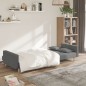 vidaXL Schlafsofa 2-Sitzer mit 2 Kissen Hellgrau Stoff vidaXL Schlafsofa 2-Sitzer mit 2 Kissen Hellgrau Stoff