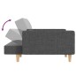 vidaXL Schlafsofa 2-Sitzer mit 2 Kissen Hellgrau Stoff vidaXL Schlafsofa 2-Sitzer mit 2 Kissen Hellgrau Stoff