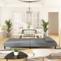 vidaXL Schlafsofa 2-Sitzer mit 2 Kissen Hellgrau Samt vidaXL Schlafsofa 2-Sitzer mit 2 Kissen Hellgrau Samt
