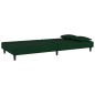 vidaXL Schlafsofa 2-Sitzer mit 2 Kissen Dunkelgrün Samt vidaXL Schlafsofa 2-Sitzer mit 2 Kissen Dunkelgrün Samt