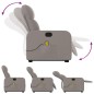 vidaXL Massagesessel mit Aufstehhilfe Taupe Stoff vidaXL Massagesessel mit Aufstehhilfe Taupe Stoff