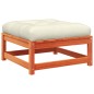 vidaXL Gartensofa ohne Armlehnen mit Kissen und Hocker vidaXL Gartensofa ohne Armlehnen mit Kissen und Hocker