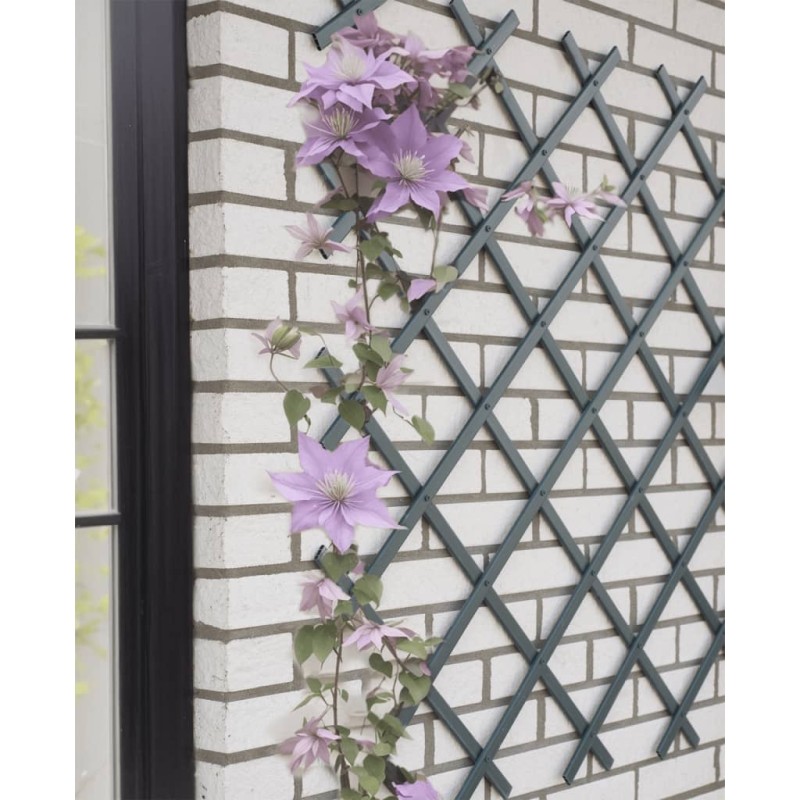 Nature Garten-Rankgitter 50x150 cm PVC Anthrazit Nature Garten-Rankgitter 50x150 cm PVC Anthrazit