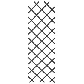 Nature Garten-Rankgitter 50x150 cm PVC Anthrazit
