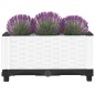 vidaXL Hochbeet 40x40x23 cm Polypropylen vidaXL Hochbeet 40x40x23 cm Polypropylen
