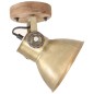 vidaXL Wand-/Deckenlampen Industriestil 2 Stk. Messing 20x25 cm E27 vidaXL Wand-/Deckenlampen Industriestil 2 Stk. Messing 20x25 cm E27
