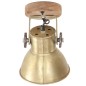 vidaXL Wand-/Deckenlampen Industriestil 2 Stk. Messing 20x25 cm E27 vidaXL Wand-/Deckenlampen Industriestil 2 Stk. Messing 20x25 cm E27