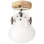 vidaXL Wand-/Deckenlampen Industriestil 2 Stk. Weiß 20x25 cm E27 vidaXL Wand-/Deckenlampen Industriestil 2 Stk. Weiß 20x25 cm E27