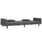 vidaXL Schlafsofa 2-Sitzer mit 2 Kissen Dunkelgrau Samt vidaXL Schlafsofa 2-Sitzer mit 2 Kissen Dunkelgrau Samt