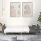 vidaXL Schlafsofa 2-Sitzer mit 2 Kissen Hellgrau Stoff vidaXL Schlafsofa 2-Sitzer mit 2 Kissen Hellgrau Stoff