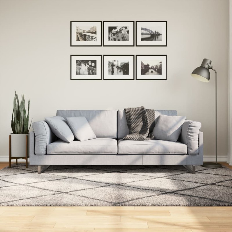 vidaXL Teppich Shaggy Hochflor Modern Beige und Anthrazit 160x230 cm vidaXL Teppich Shaggy Hochflor Modern Beige und Anthrazit 160x230 cm