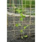 Nature Ranknetz für Kletterpflanzen Jute 1x3 m Natur Nature Ranknetz für Kletterpflanzen Jute 1x3 m Natur