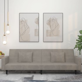 vidaXL Schlafsofa 2-Sitzer mit 2 Kissen Hellgrau Samt